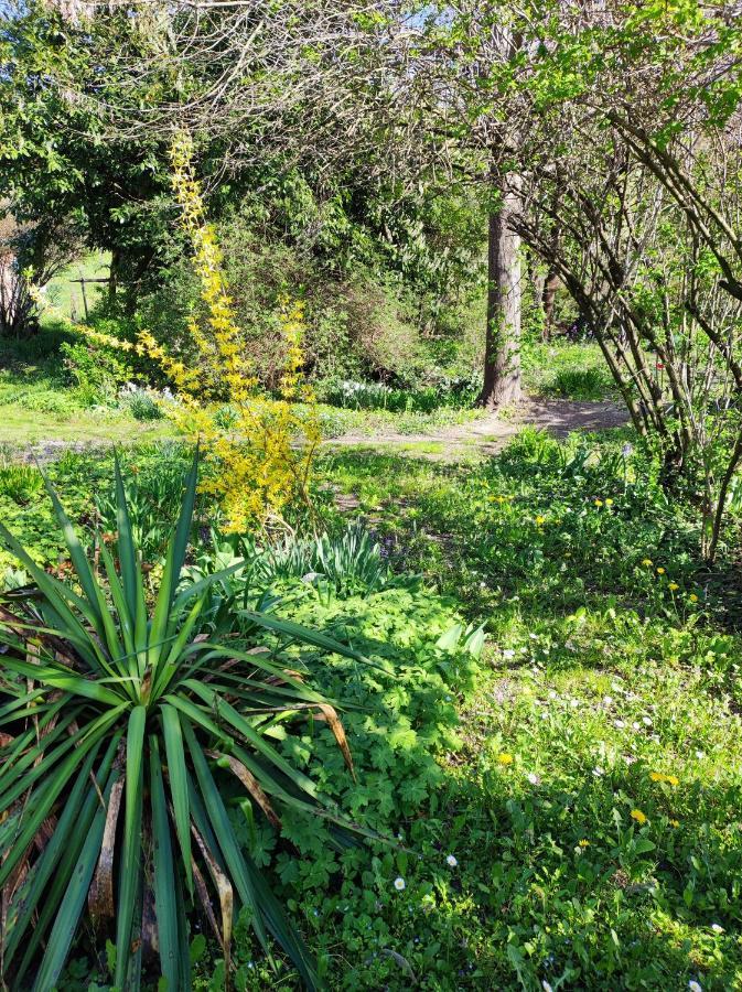 Il Giardino Del Gallo Cherasco Eksteriør bilde