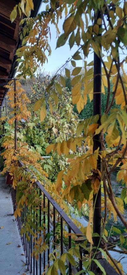 Il Giardino Del Gallo Cherasco Eksteriør bilde