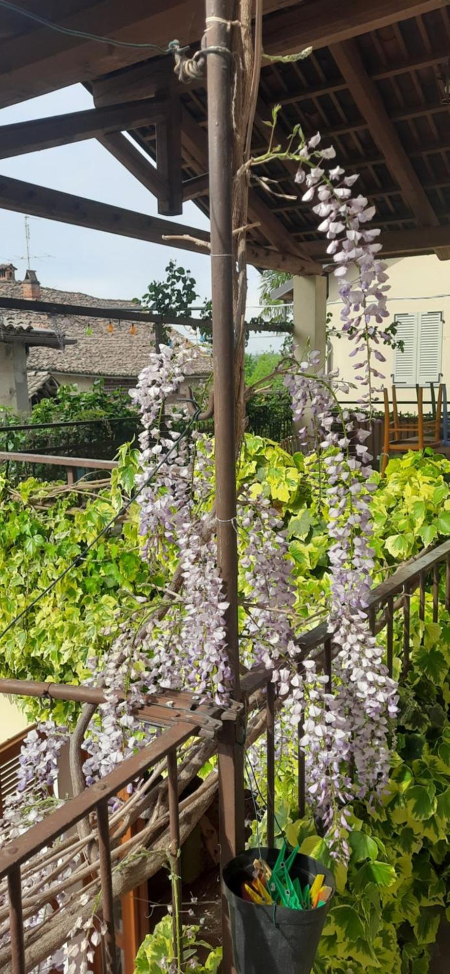 Il Giardino Del Gallo Cherasco Eksteriør bilde