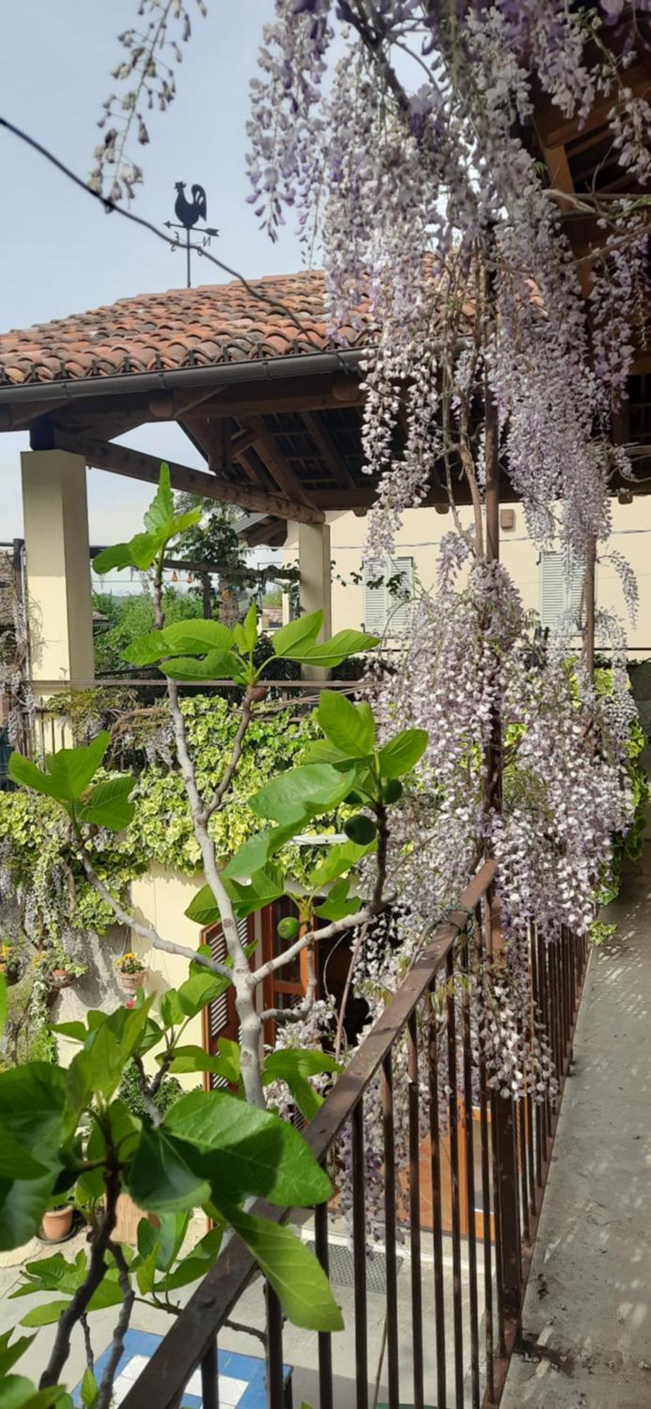 Il Giardino Del Gallo Cherasco Eksteriør bilde